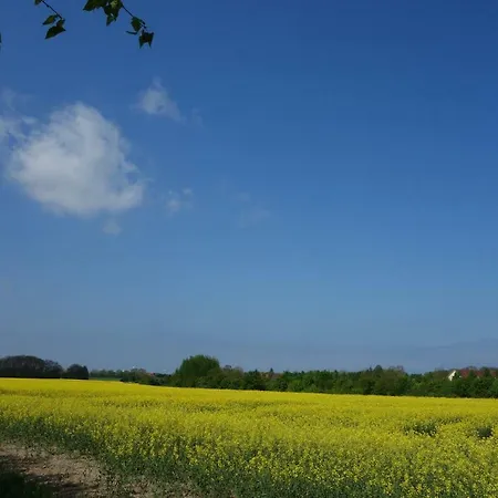 Mittelmole Appartamento Rostock